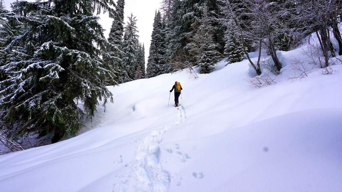 Why you'll want to explore the area on snowshoes Logden Lodge Official site